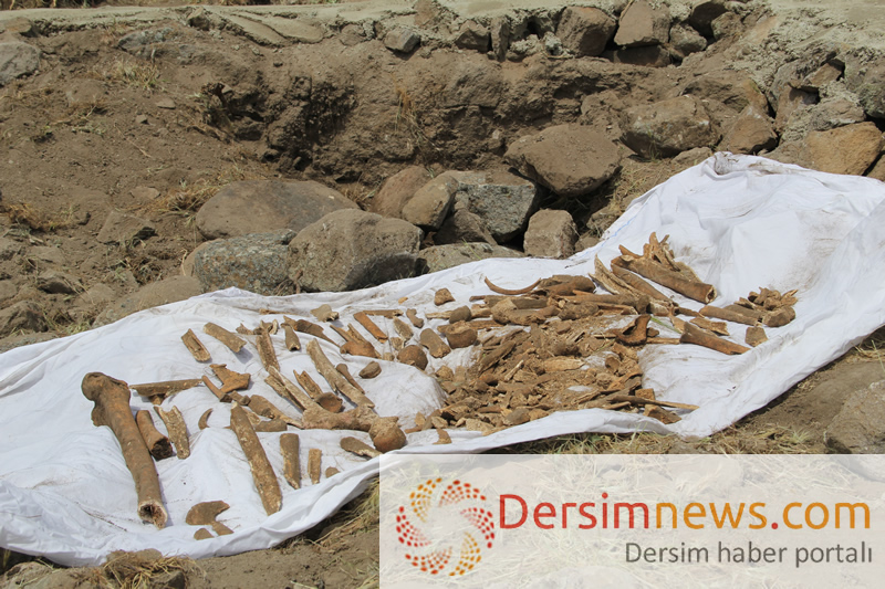 24 kişinin yakılarak katledildiği toplu mezarın olduğu noktada taşların altından insan kemikleri çıkıyor. Foto: Dersimnews.com